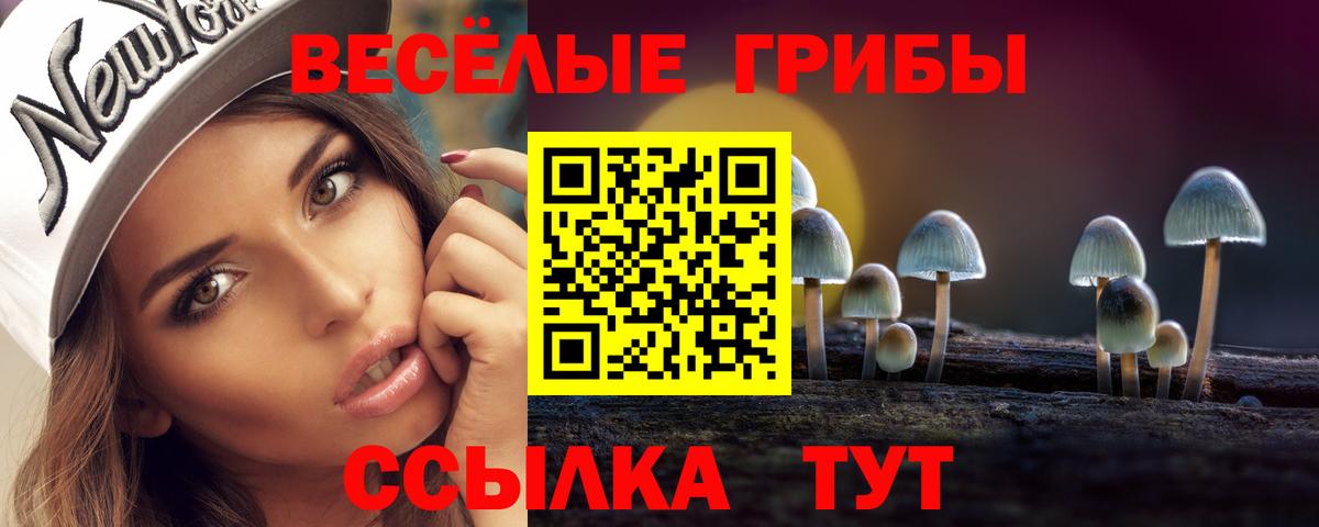 Псилоцибиновые грибы мицелий Сокол